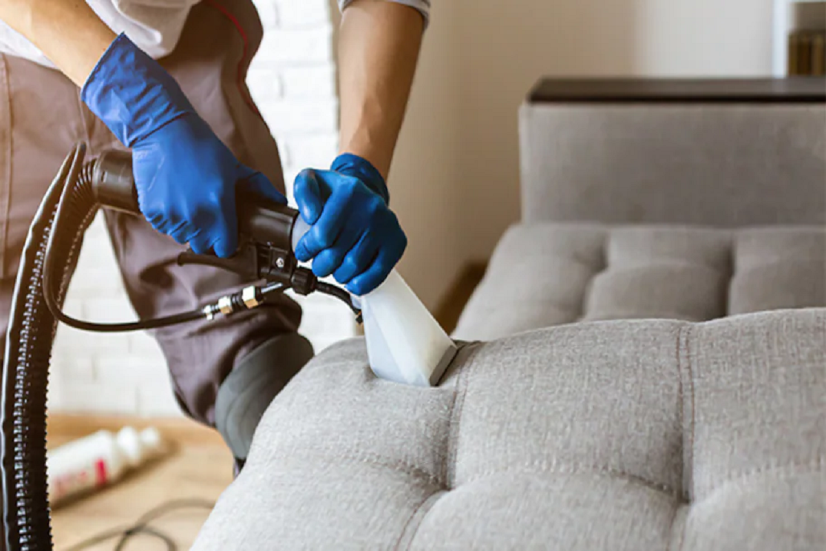 Upholstery Cleaning & Cleaners